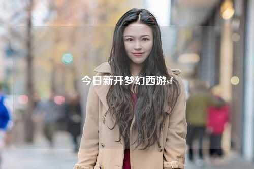 今日新开梦幻西游sf